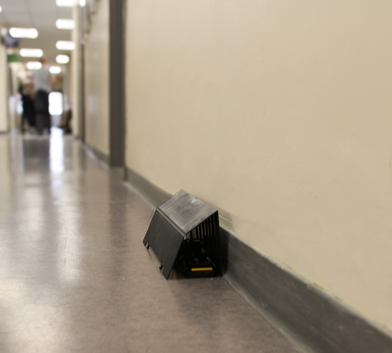 tunnel anti rats et souris dans un couloir  