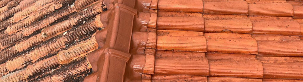 Nettoyage de toiture et façades dans l'Hérault